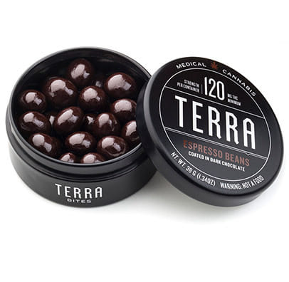 Kiva Chocolate Terra Bites - Chocolate Blueberries