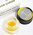Raw Garden - Live Resin - Purple Lemonade 1g - Raw Garden - Live Resin - Purple Lemonade 1g