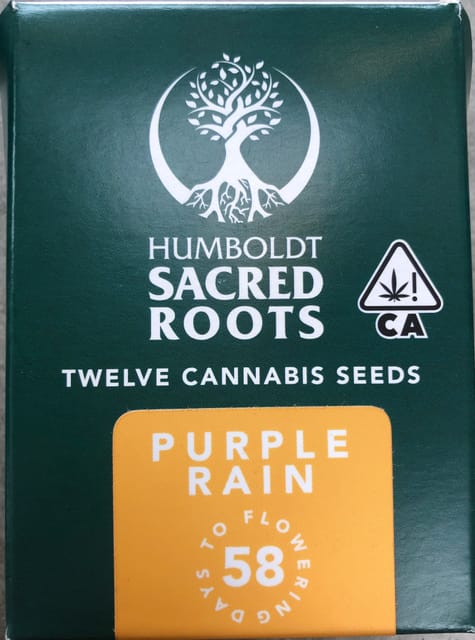 Purple Rain