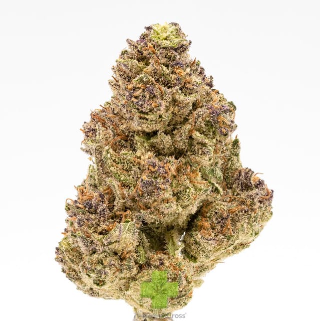 Blue Tara, SG (1/2oz) - Half