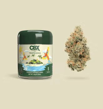 Cannabiotix - Tropicanna 3.5g - Cannabiotix - Tropicanna 3.5g