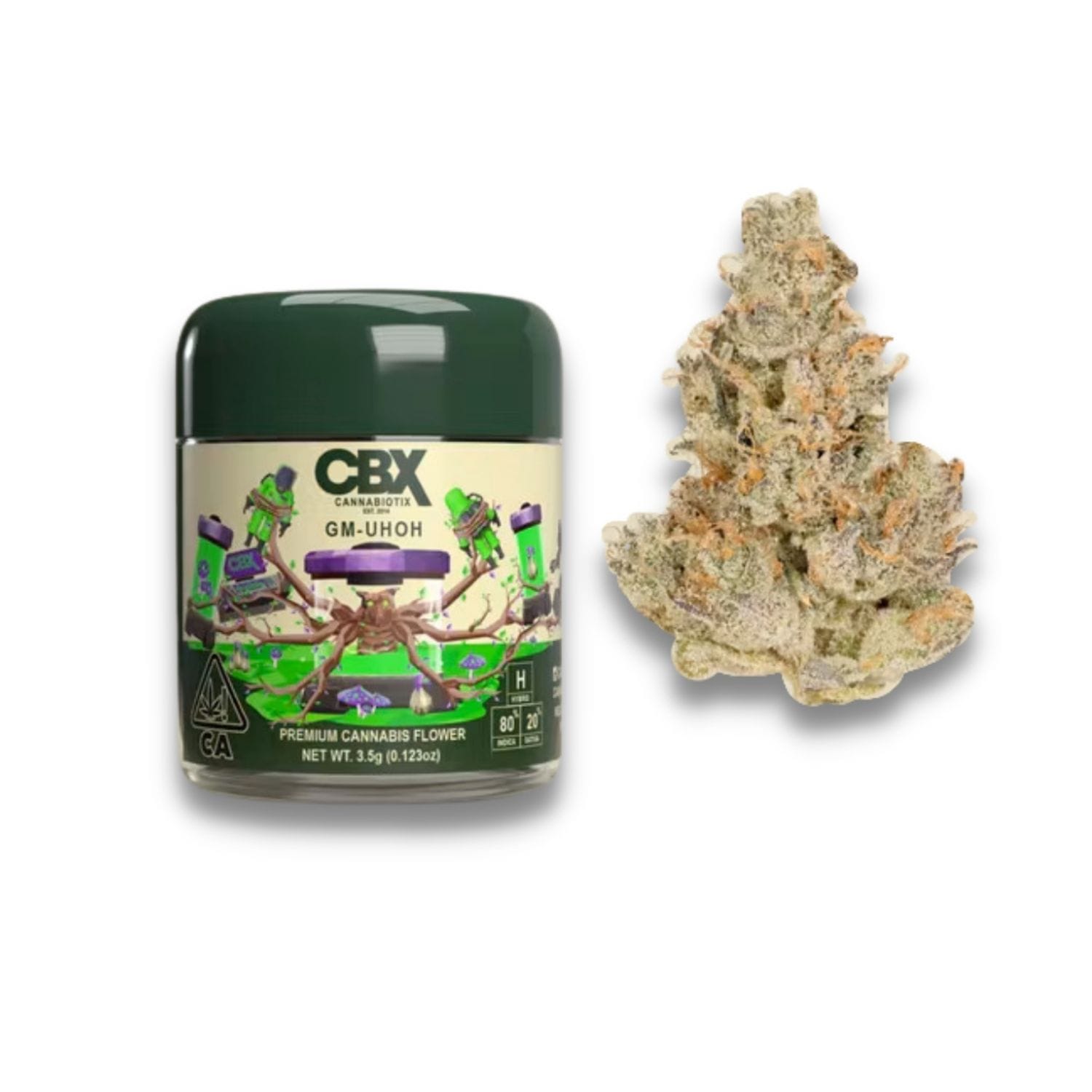 Cannabiotix: GMO Cookies