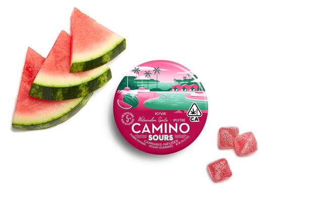Camino Sours: Watermelon Spritz