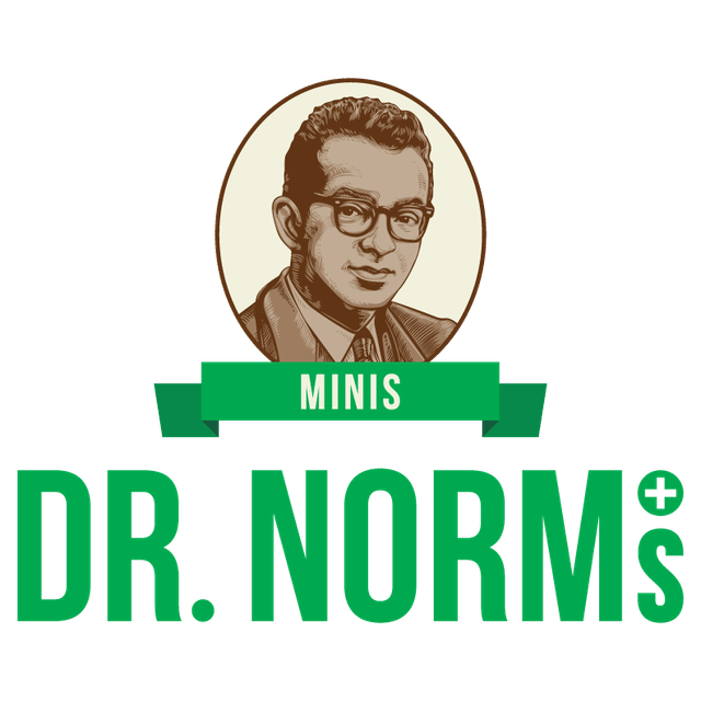 Dr. Norms Edibles - FPOG Cereal Bar