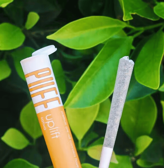Lemonwreck 1g Pre-Roll - Pre-roll