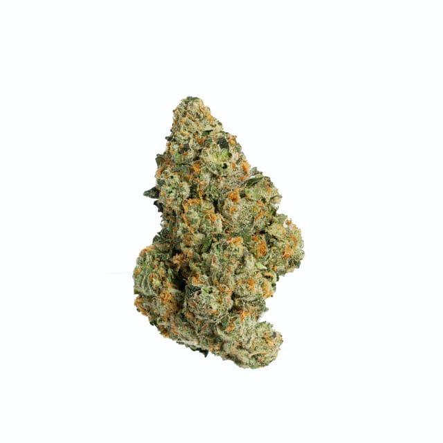 Passiflora - GMO X OG - 3.5g - Passiflora - GMO X OG - 3.5g