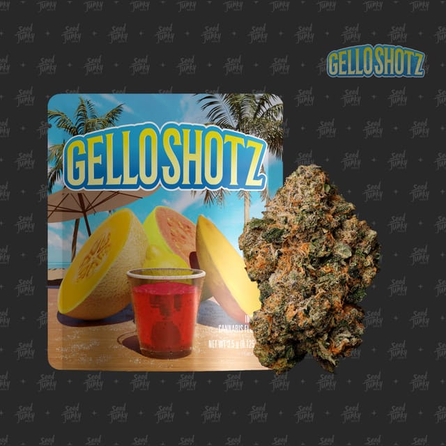 GELLO SHOTZ - 3.5G