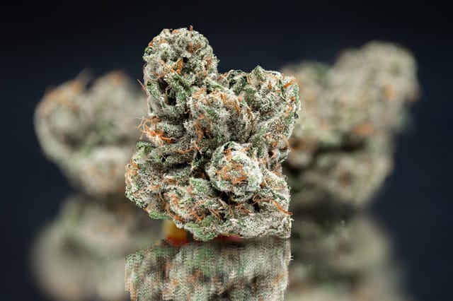 Mega Wellness OG® 3.5g