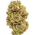 Amaretto Sour, SG (1/2oz.) - Half Ounce