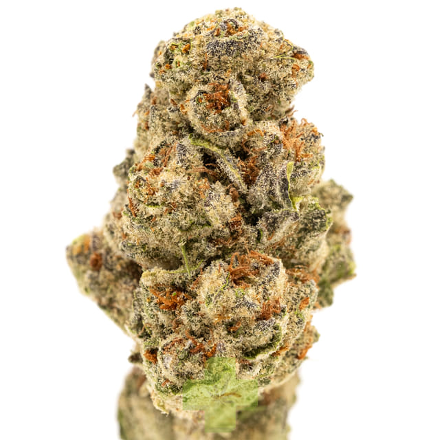 Sherbscotti, SG (1/2oz.) - Half