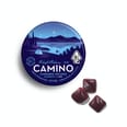Camino Gummies Midnight Blueberry CBN 5:1