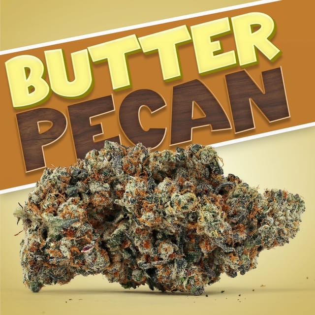 Butter Pecan 34.15% - 3.5G - Butter Pecan (H)