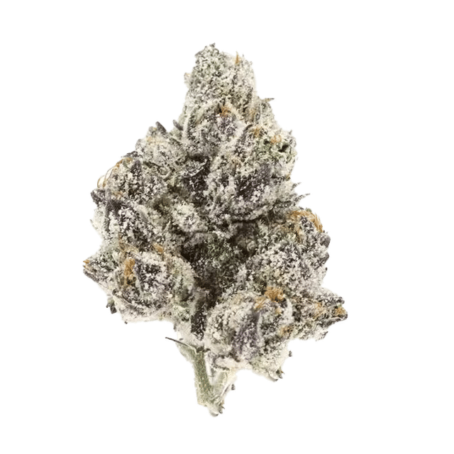 Strawberry Runtz - Jar - Indoor Flower