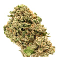Animal Face Sherbet, SG (1/2oz.) - Half