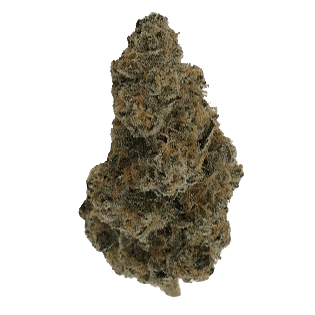 Jungle Juice - Jar - Indoor Flower