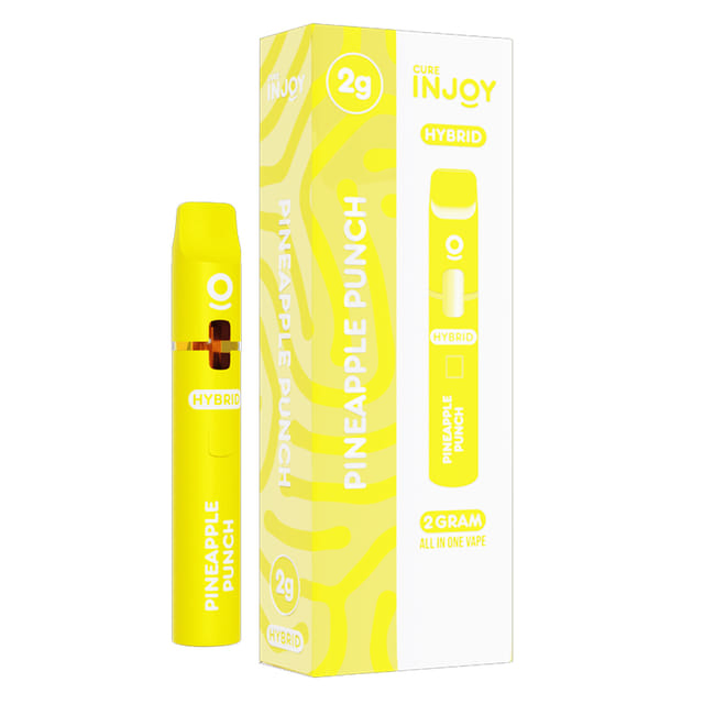 Pineapple Punch (H) AIO- 1g - Pineapple Punch (H)