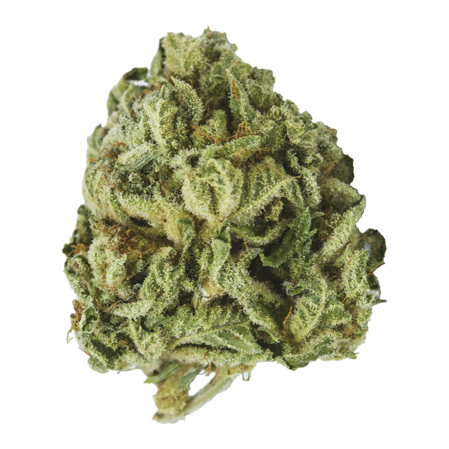 SKYWALKER OG 40's INFUSED MYLAR 7G