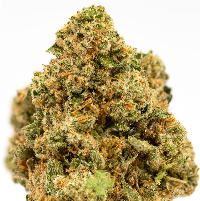 Pure Kush, SG (1/2oz) - Half