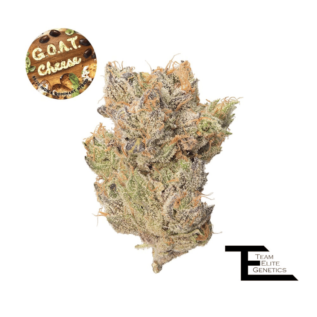 Team Elite Genetics: G.o.a.t