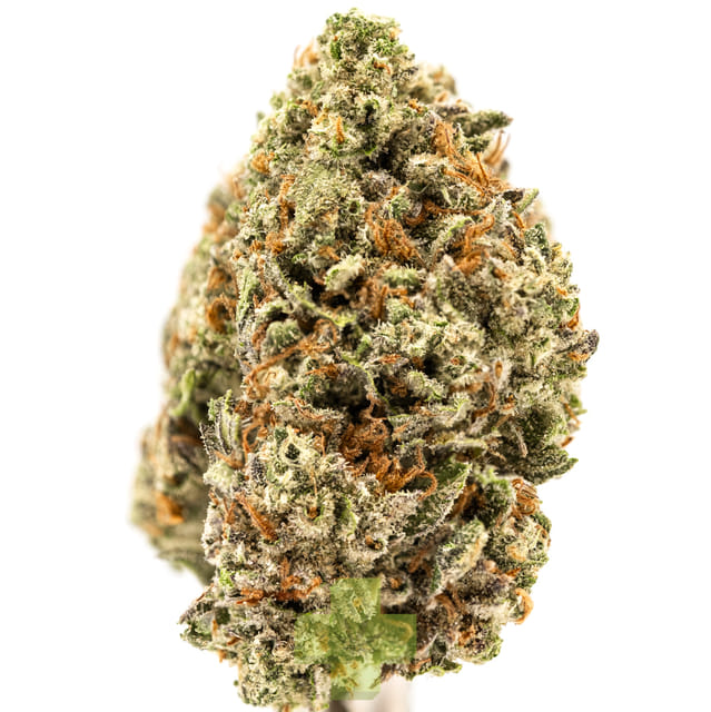 Acai Gelato, SG (1oz.) - One Ounce