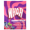 Mixed Berry (H) Gummy 100mg * B2G1 EVERYDAY* - Mixed Berry (H)