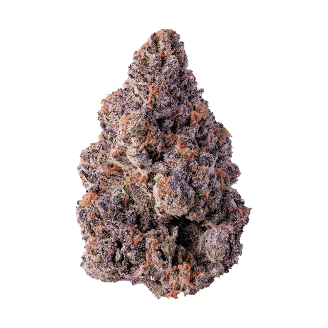 Purple Lantern - Flower