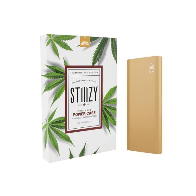 GOLD PORTABLE POWER CASE