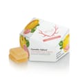 Grapefruit 1:1:1 THC-CBG-CBC Gummies *SPECIAL PRICING* - Grapefruit 1:1:1 THC:CBG:CBC (S)