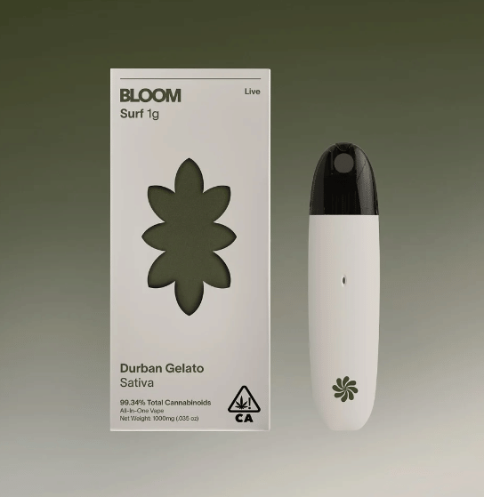 BLOOM BRAND: Durban Gelato Live Surf