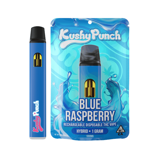Blue Raspberry Disposable 1g