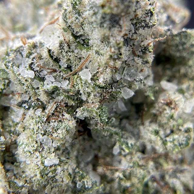 Original Glue Infused 3.5g