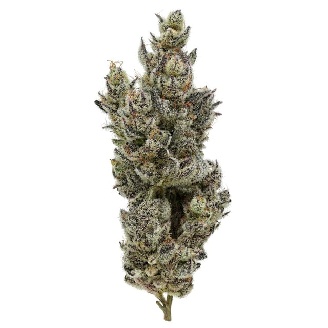 Holy Cow! 31% - 3.5G - Holy Cow! (H)