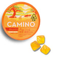 Mango Serenity 1:1 Camino Gummies - Mango Serenity 1:1