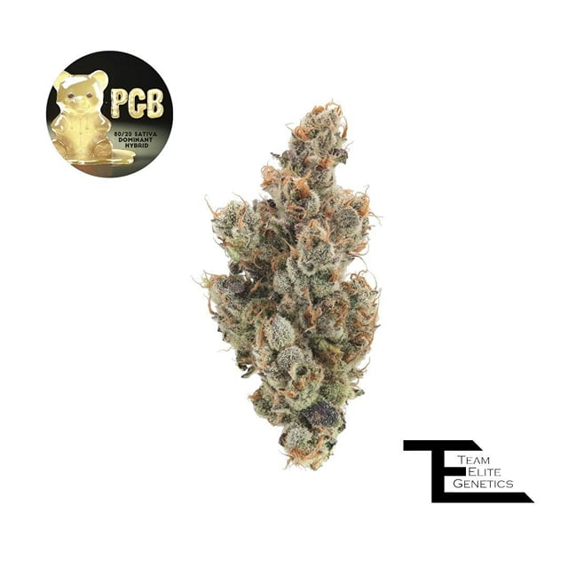 P.G.B. 1g - Gram