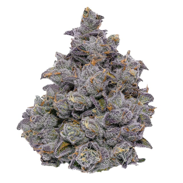 Animal Face 28% - 3.5G - Animal Face (H)