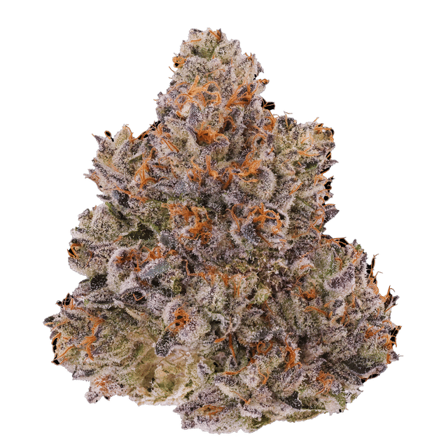 Fig OG - Jar - Indoor Flower