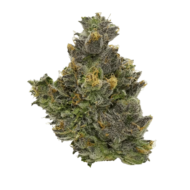 Fig & Cherry - Jar - Indoor Flower