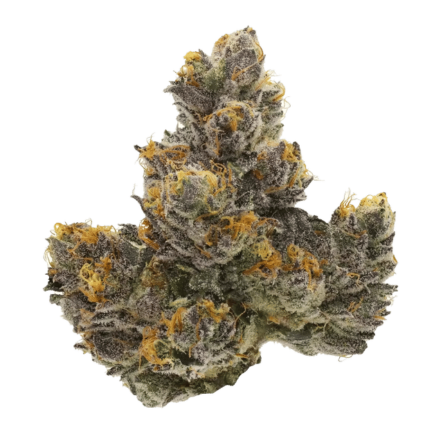 Couch Rider - Jar - Indoor Flower