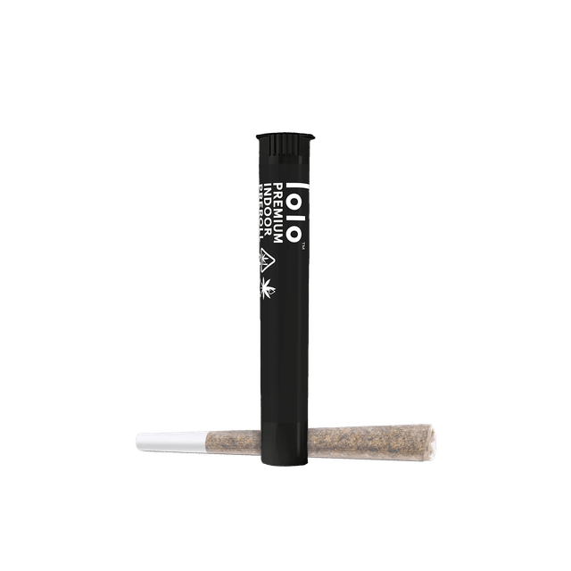 Blueberry Haze 1g | Hash Infused Indoor Preroll