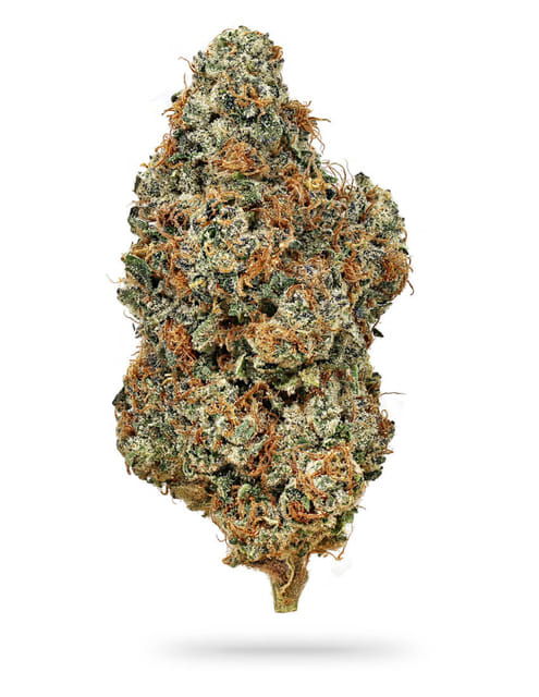 Chocolate Thai Dye 25.32% - 3.5G - Chocolate Thai Dye (S)