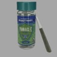 PINNACLE RESERVES - Bolo Runtz - 7 Pack- One Gram Pre Rolls