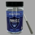 PINNACLE RESERVES - Permanent Cherries - 4 Pack- One Gram Pre Rolls