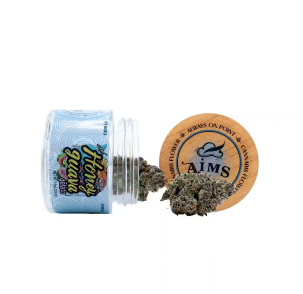 Honey Guava Gelato by AIMS