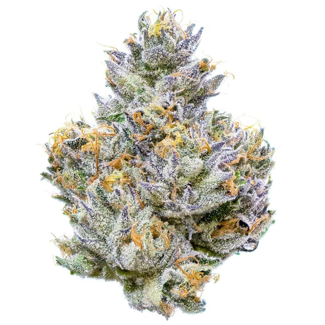 Mad Dog 64 1g Pre-Roll
