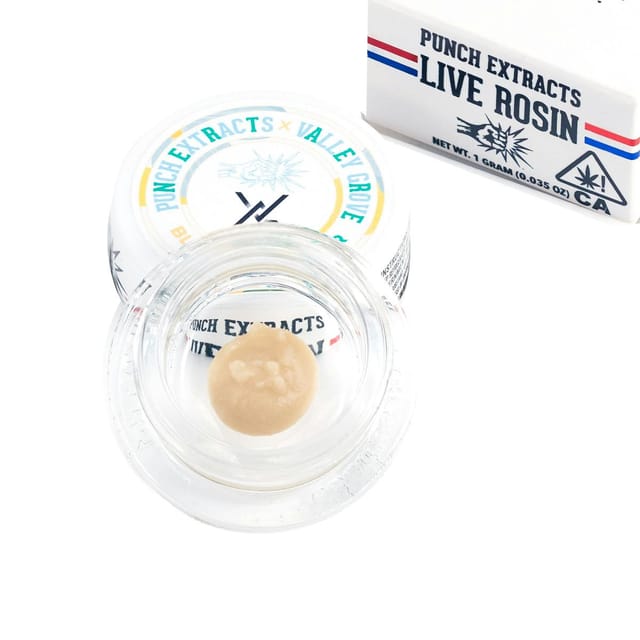 Blumosa | Tier 3 Live Rosin Cold Cure Badder