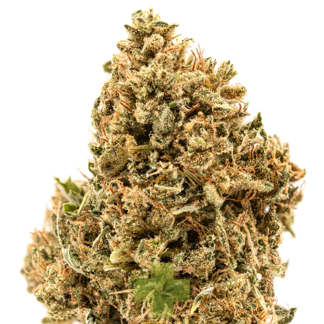 22:1 CBD Chemberry, SG