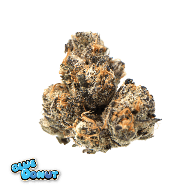 Blue Donut 15g