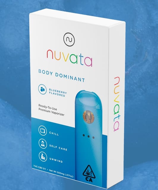 Body Dominant Blueberry Disposable 1g - Disposable