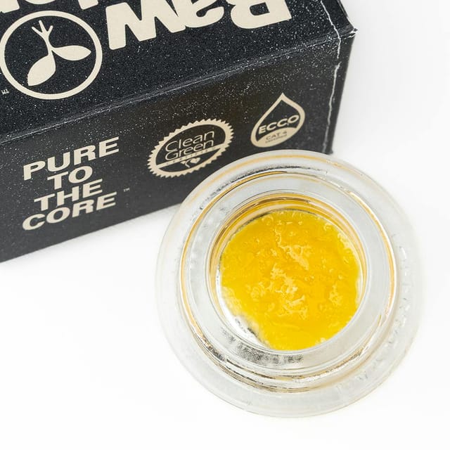 Wave Rider Live Resin