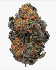 Lemon Haze 3.5g Smalls